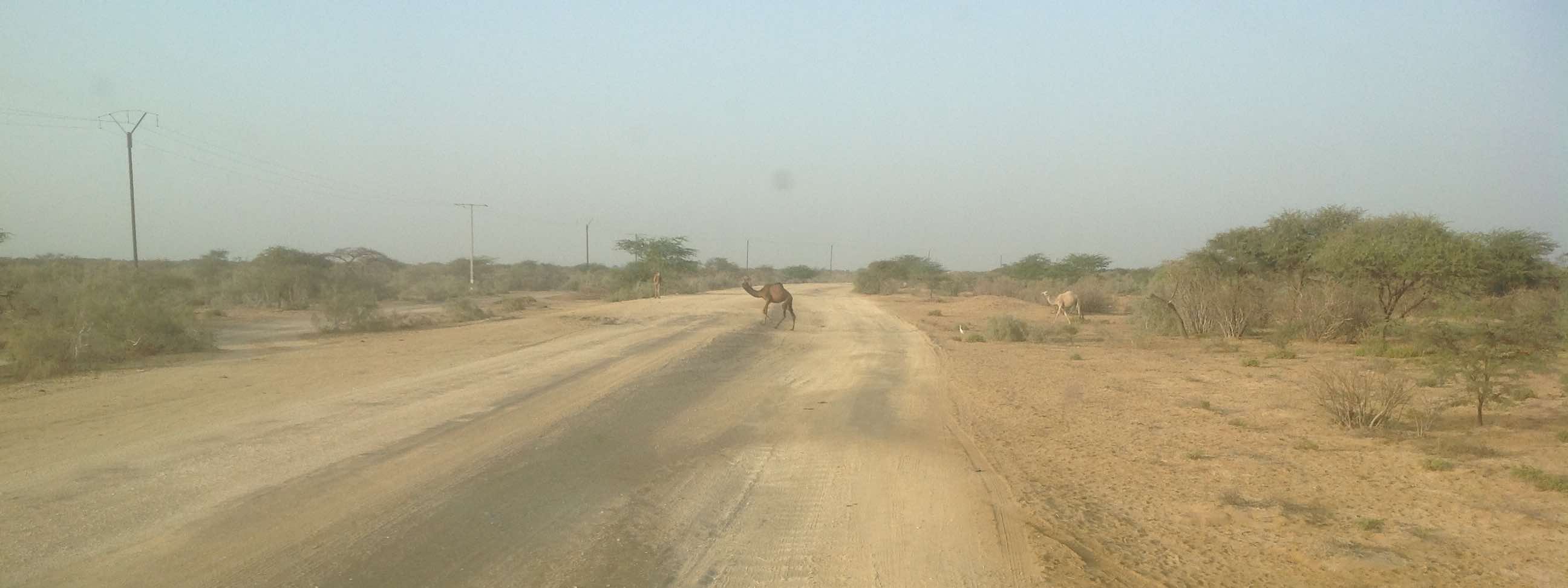 mauritanie