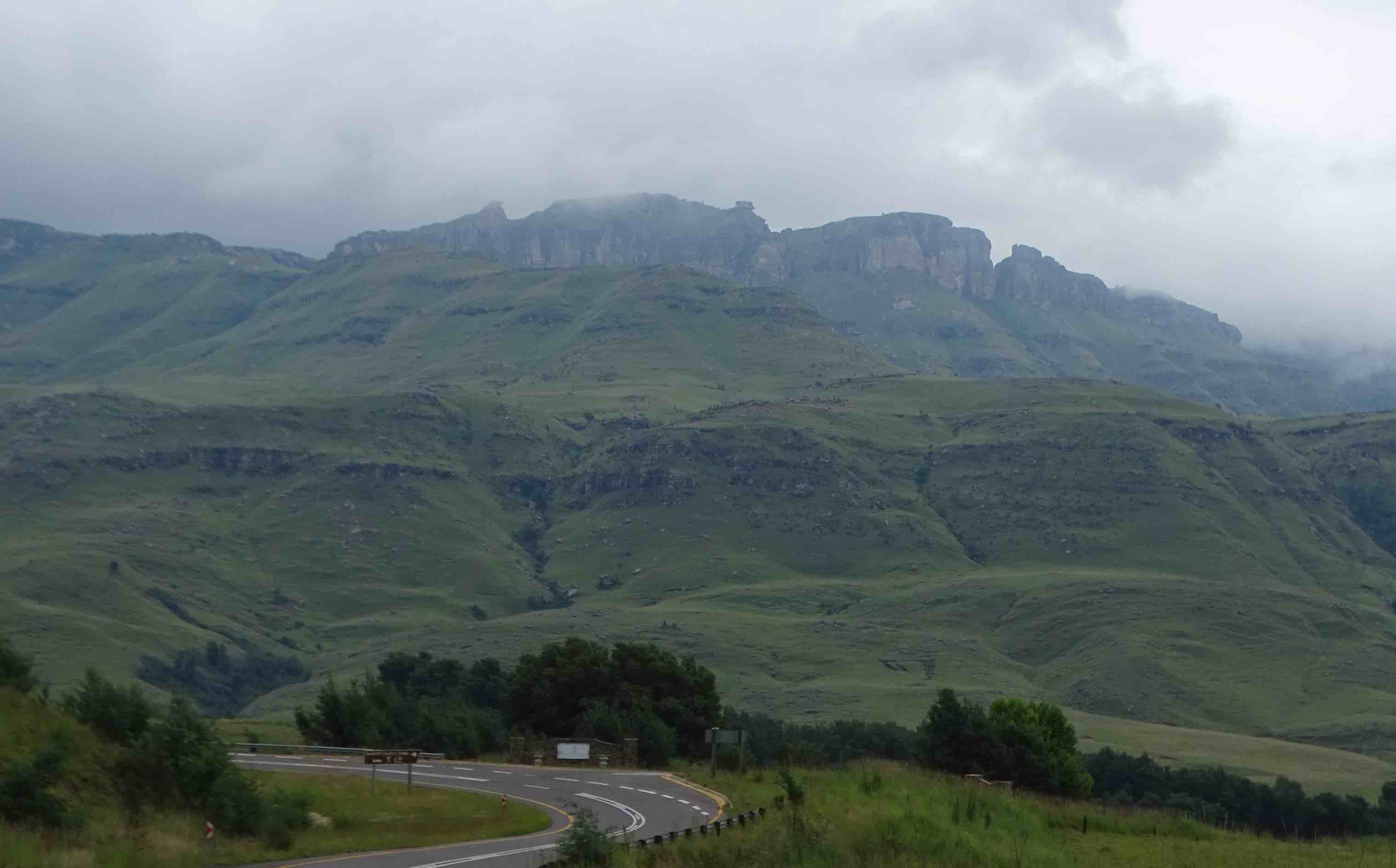 sanipass4