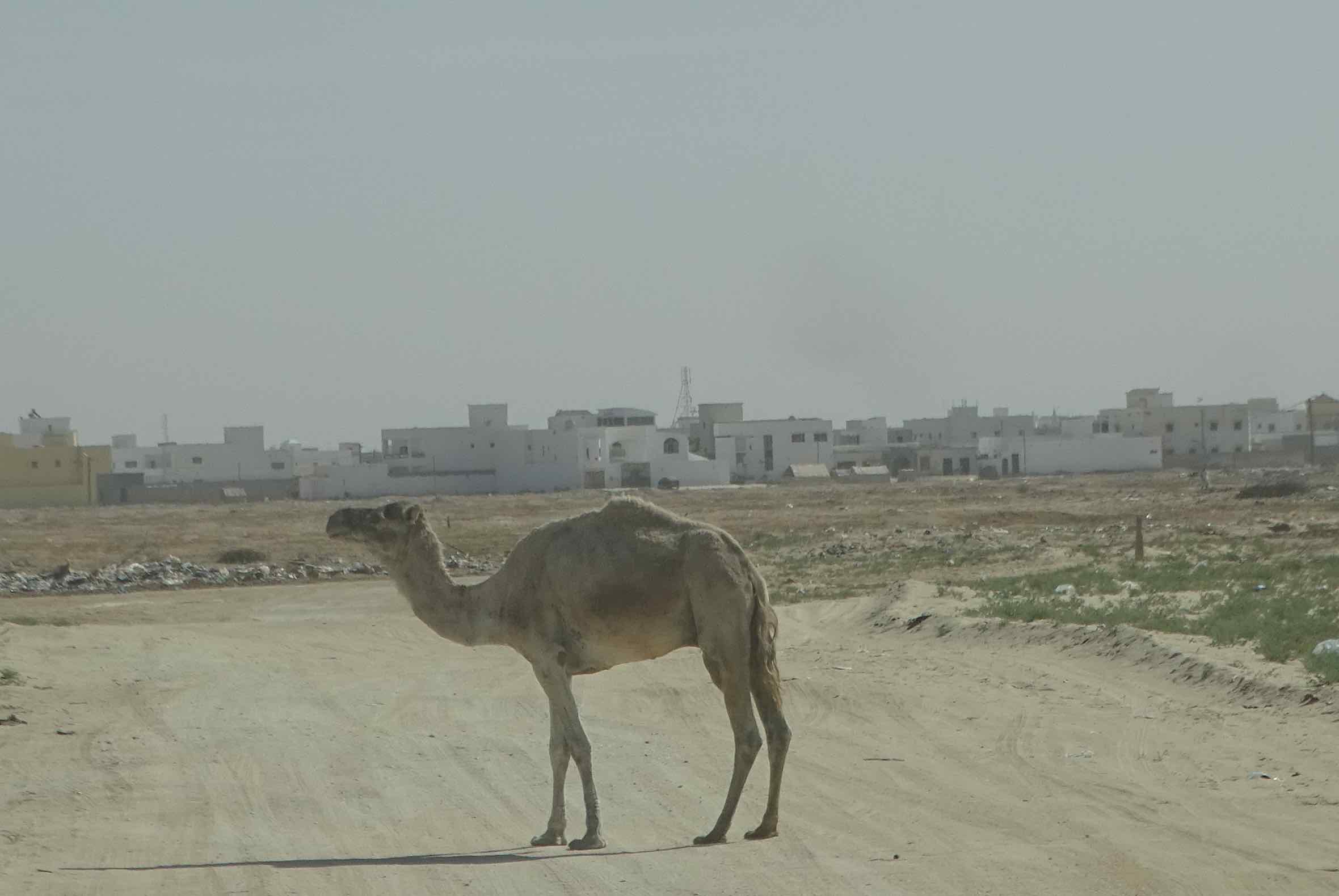 nouakchott1