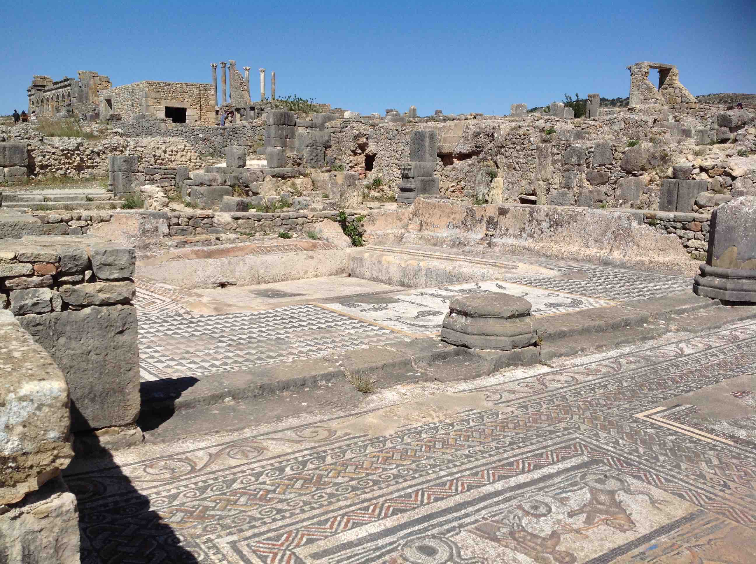 volubilis1