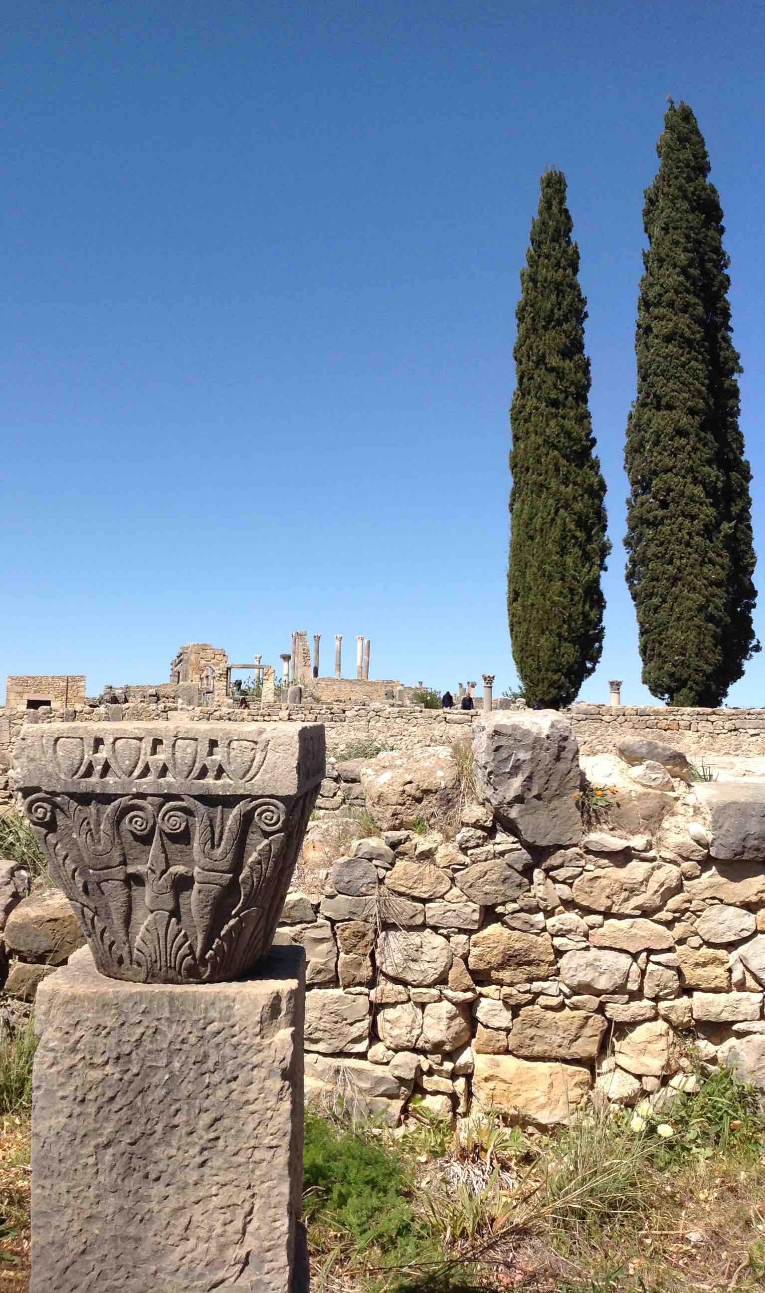 volubilis3